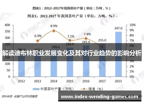 解读迪布林职业发展变化及其对行业趋势的影响分析