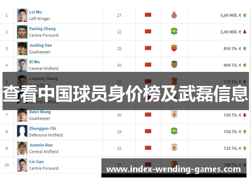 查看中国球员身价榜及武磊信息