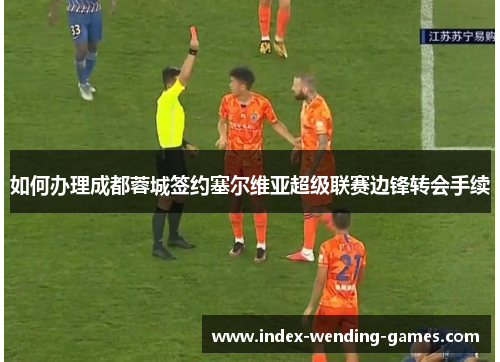 如何办理成都蓉城签约塞尔维亚超级联赛边锋转会手续
