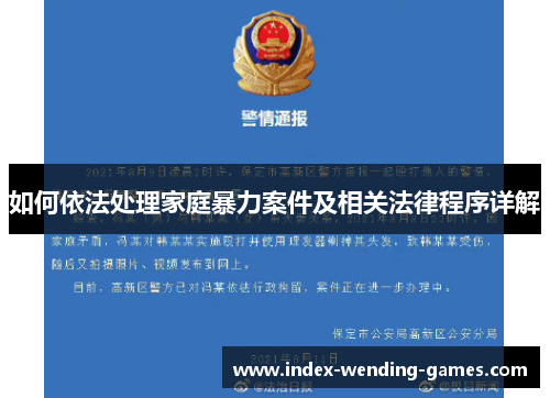 如何依法处理家庭暴力案件及相关法律程序详解