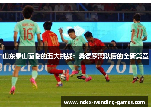 山东泰山面临的五大挑战：桑德罗离队后的全新篇章