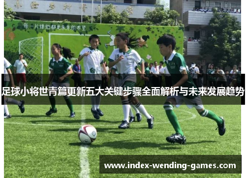 足球小将世青篇更新五大关键步骤全面解析与未来发展趋势