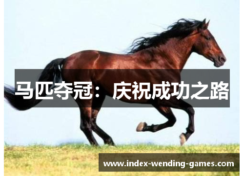 马匹夺冠：庆祝成功之路