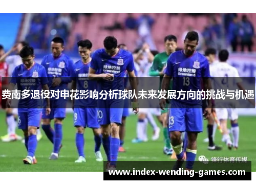 费南多退役对申花影响分析球队未来发展方向的挑战与机遇